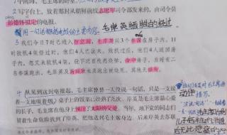青山处处埋忠骨教案