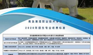 青岛港湾技术学院