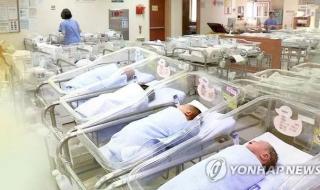 2023出生率断崖式下跌