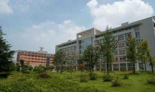 河南师范大学艺术类分数线