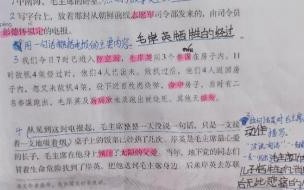 青山处处埋忠骨课文结构 青山处处埋忠骨教案